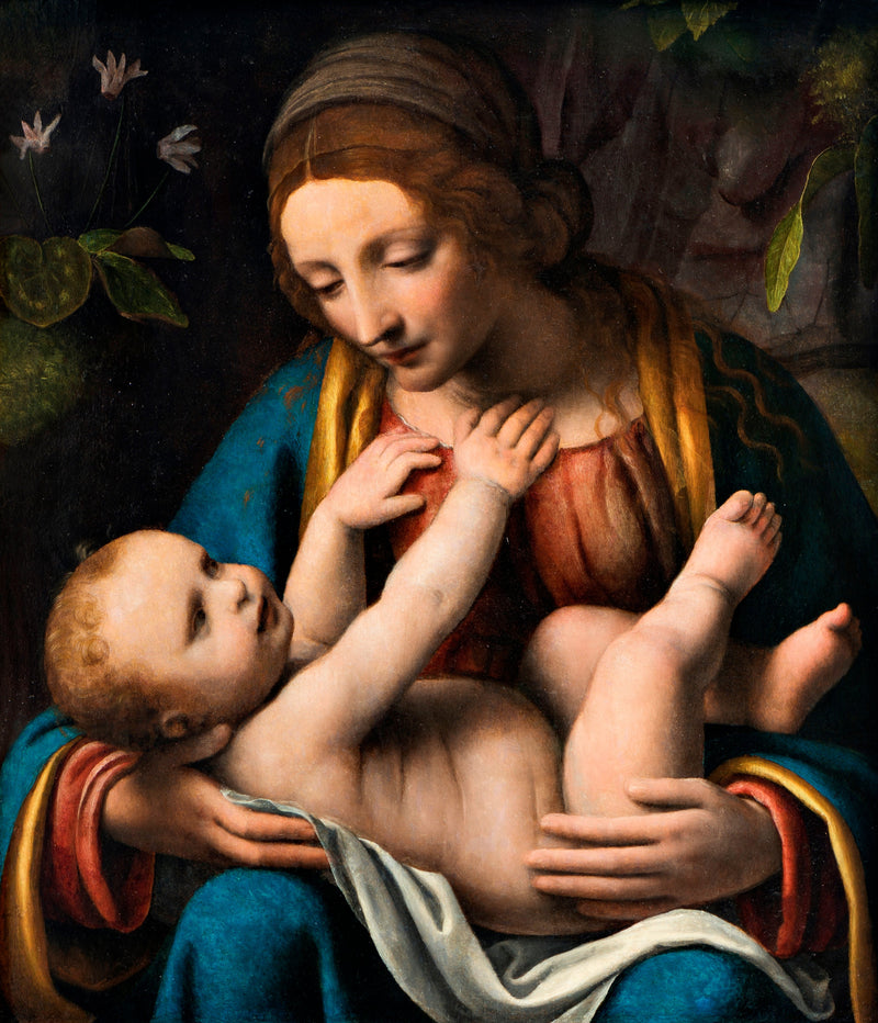 Neitsyt ja lapsi - Bernardino Luini