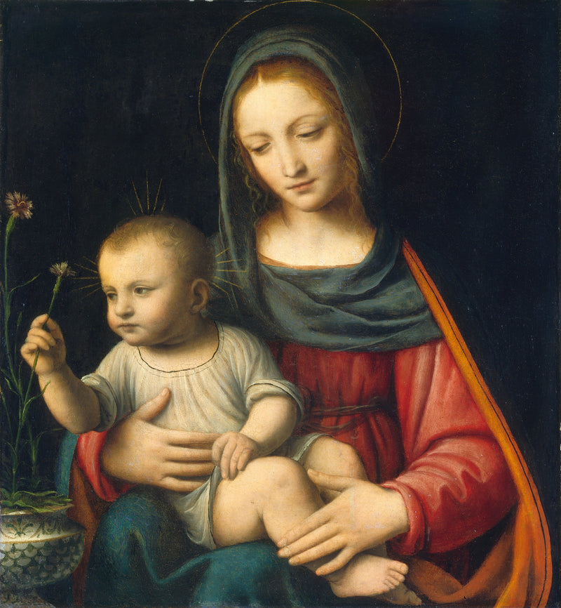 Neitsyt ja neilikkakukka - Bernardino Luini