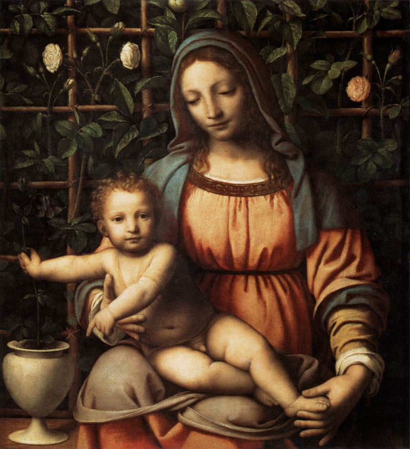 Neitsyt Marian roositarhassa - Bernardino Luini