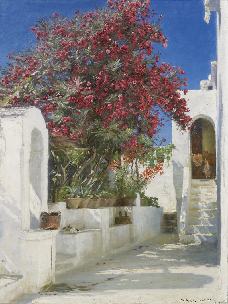 Kukassa olevat ruusut, Capri - Peder Severin Krøyer