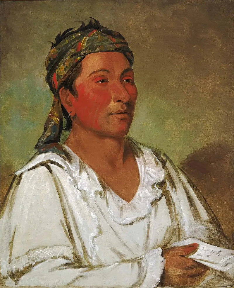Lay-lóo-ah-pee-ái-shee-kaw, yrtti, pensas ja kukka, puolivilli - George Catlin