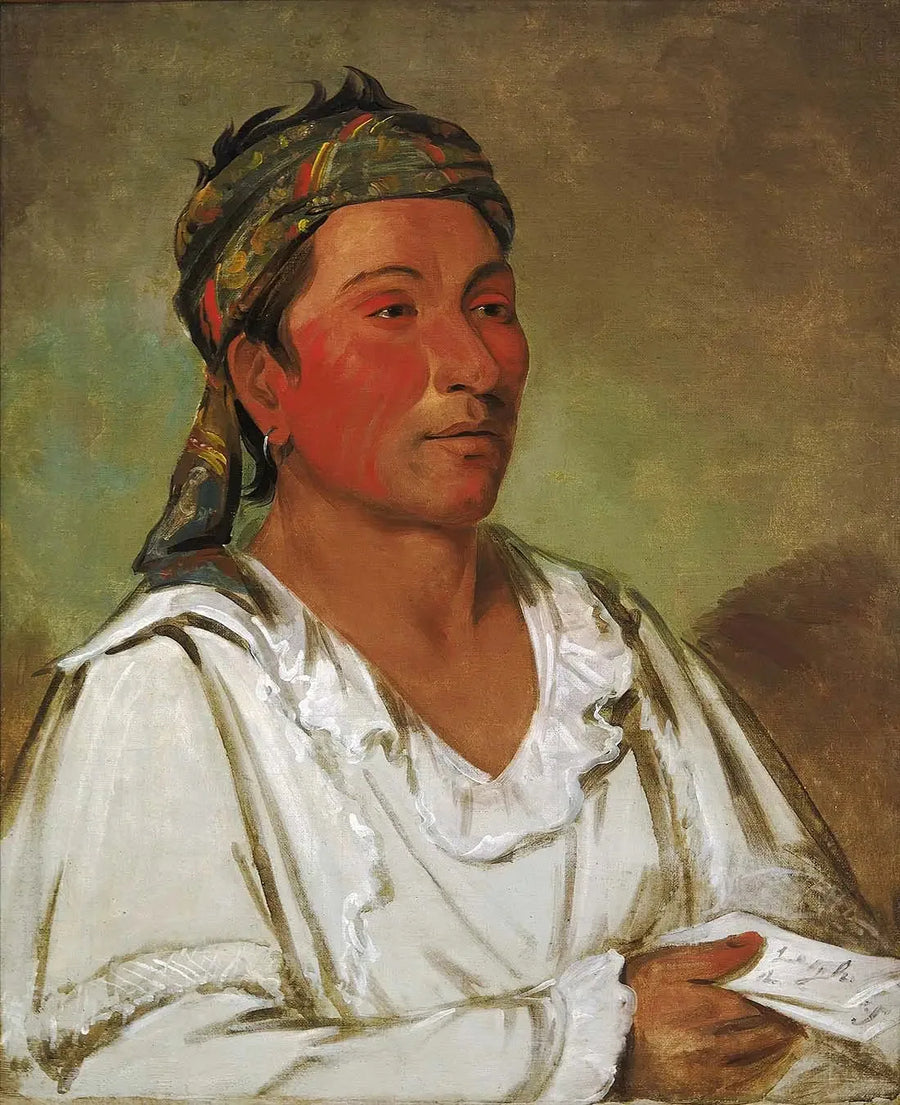 Lay-lóo-ah-pee-ái-shee-kaw, yrtti, pensas ja kukka, puolivilli - George Catlin