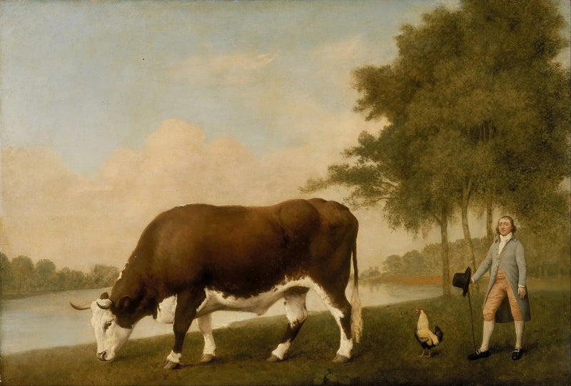 Lincolnshiren härkä - George Stubbs
