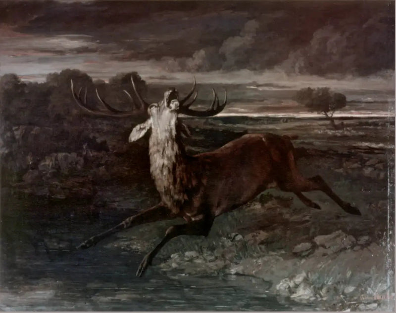 Vesipäähirvi - Gustave Courbet