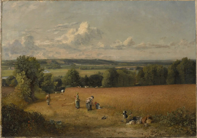 Vehnäpelto - John Constable