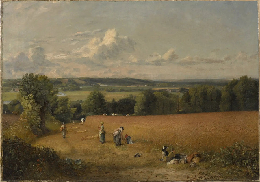 Vehnäpelto - John Constable