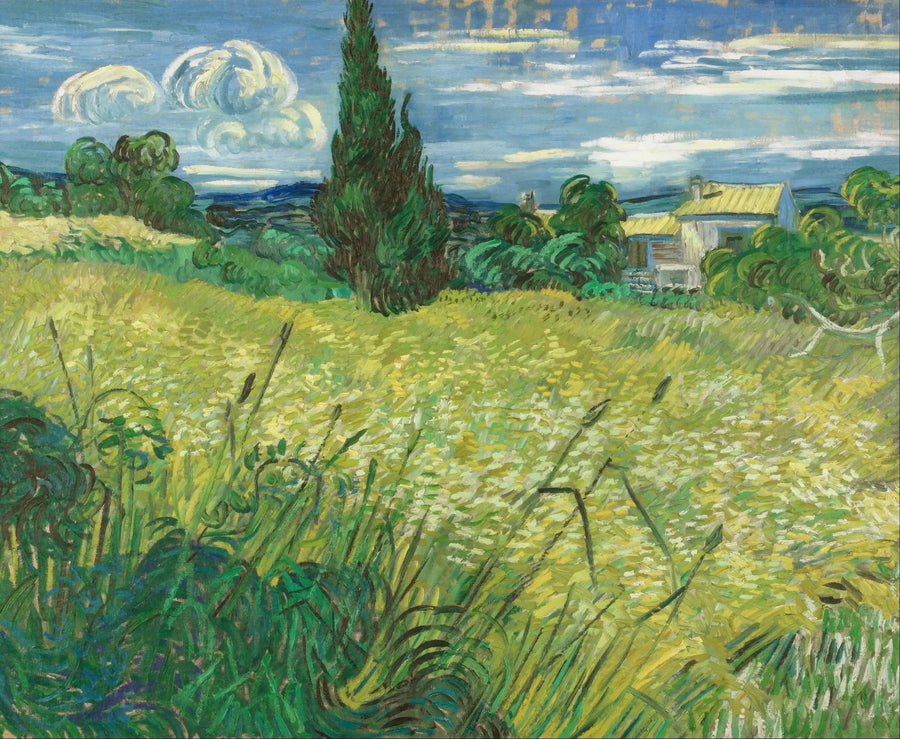 Vihreä viljapelto ja sypressi - Vincent van Gogh