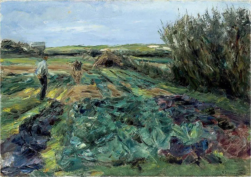 Kaali pelto (kaali pelto Noordwijkissa) - Max Liebermann
