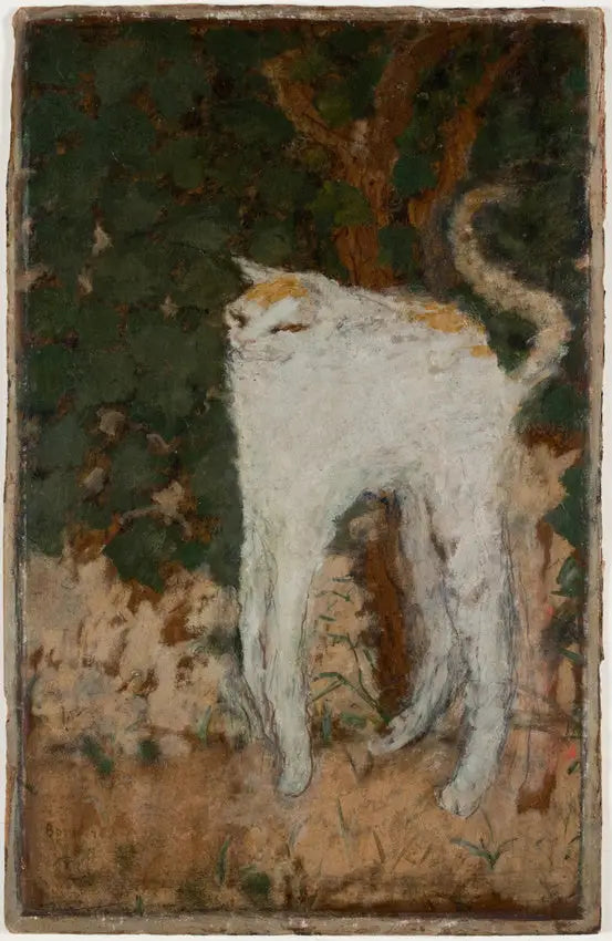 Valkoinen kissa - Pierre Bonnard
