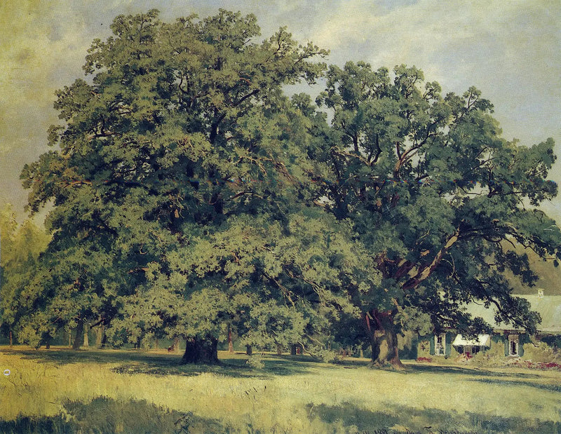 Mordvinovon tammi - Ivan Chichkine