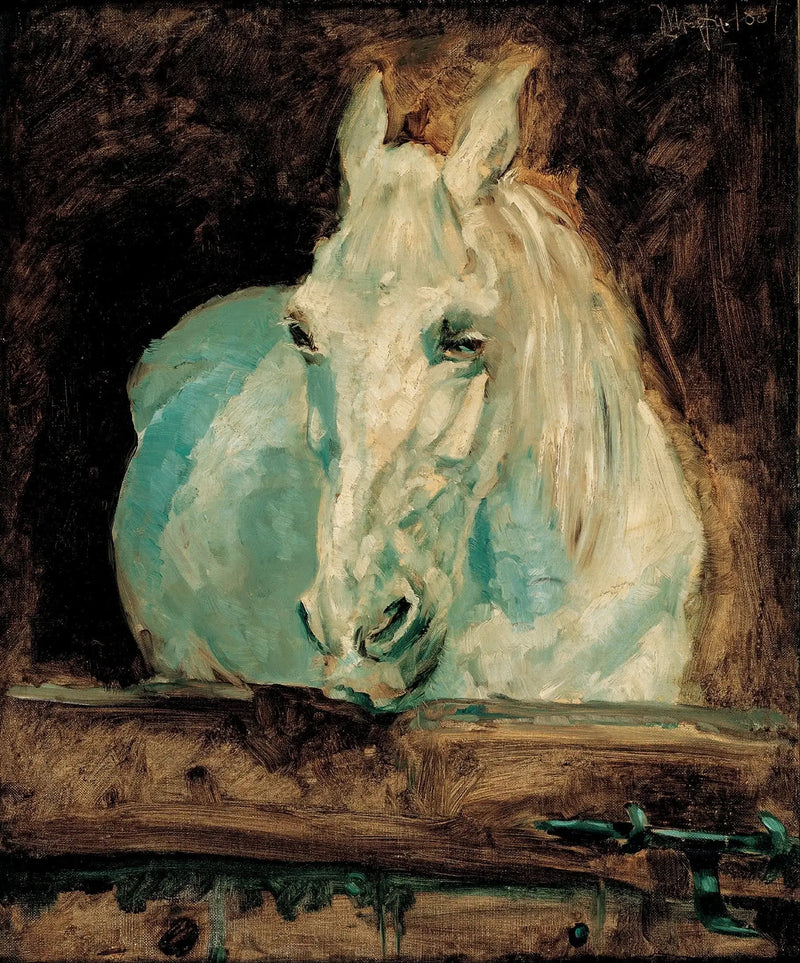 Valkoinen hevonen « Gazelle » - Henri de Toulouse-Lautrec