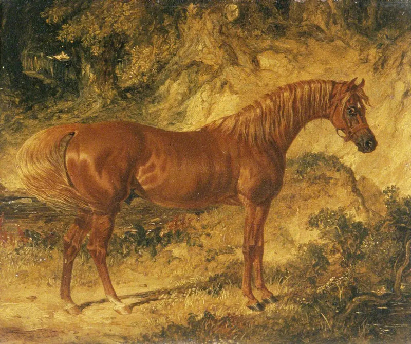 Kilpahevonen « Actéon » - John Frederick Herring, Sr.