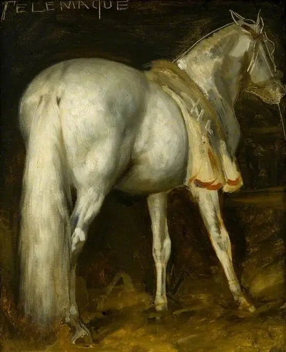 Harmaa hevonen 