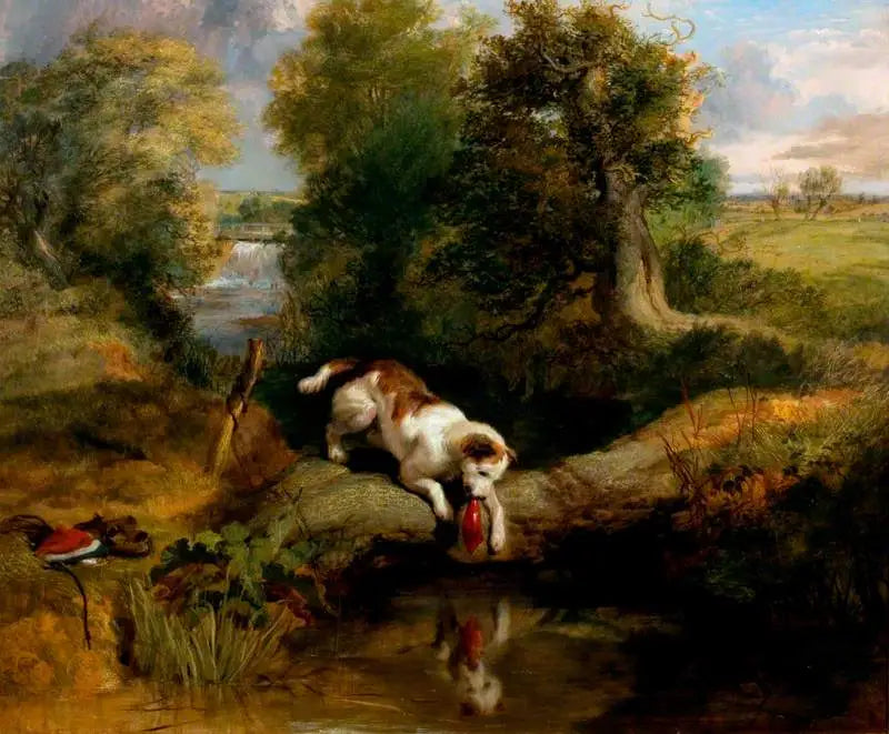 Koira ja varjo - Edwin Henry Landseer