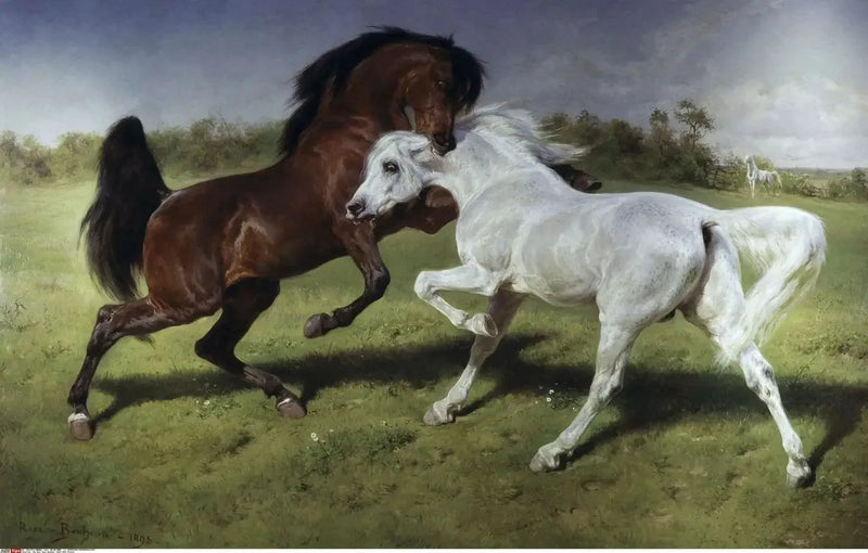 Dueli - Rosa Bonheur