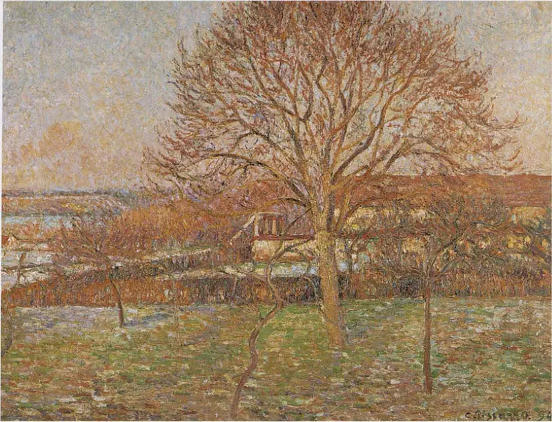 Suuri Pähkinäpuu, valkoinen hyytelö, Éragny - Camille Pissarro