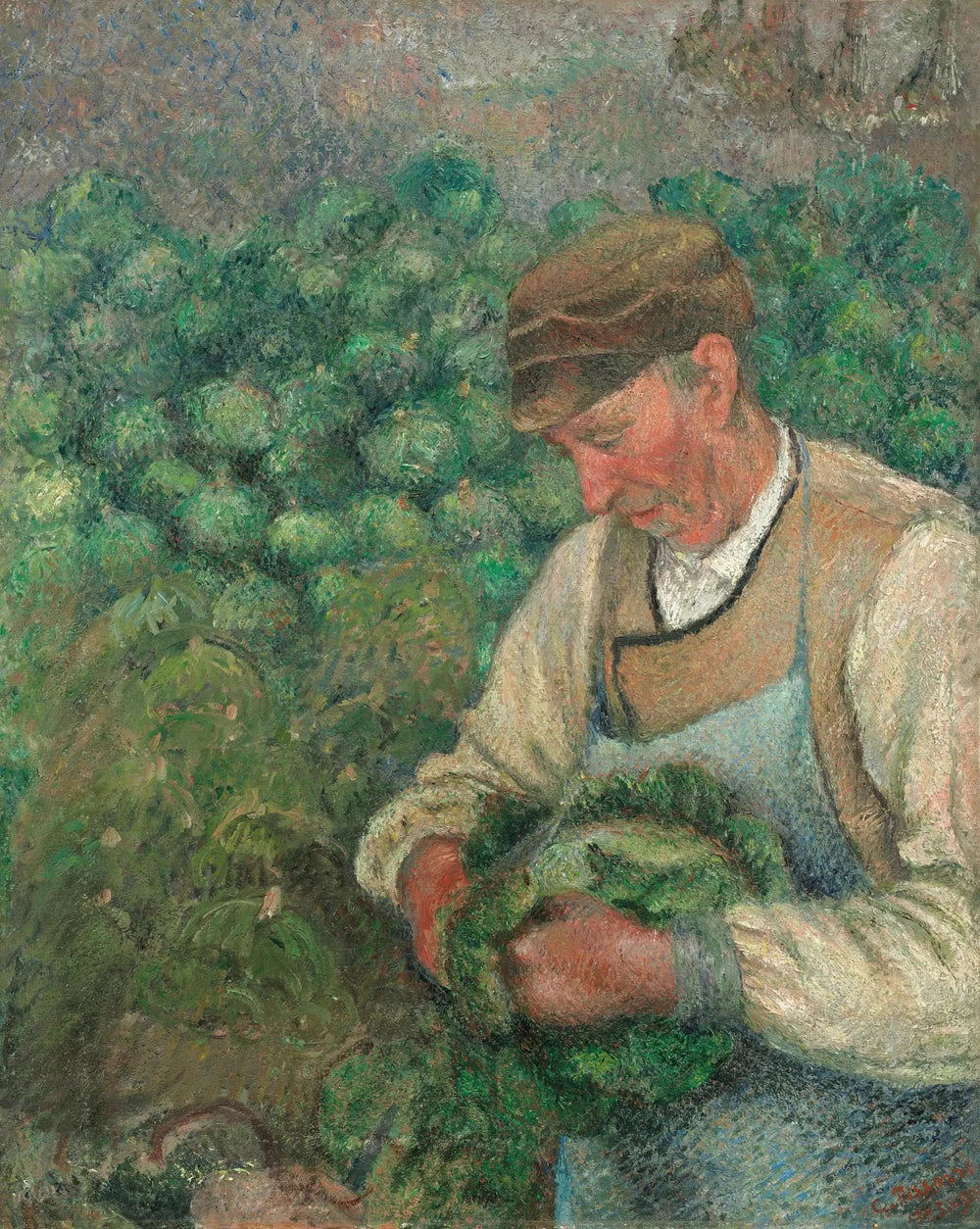Le Jardinier - Vieux Paysan au Chou - Camille Pissarro image 1 reproduction de peinture à l’huile
