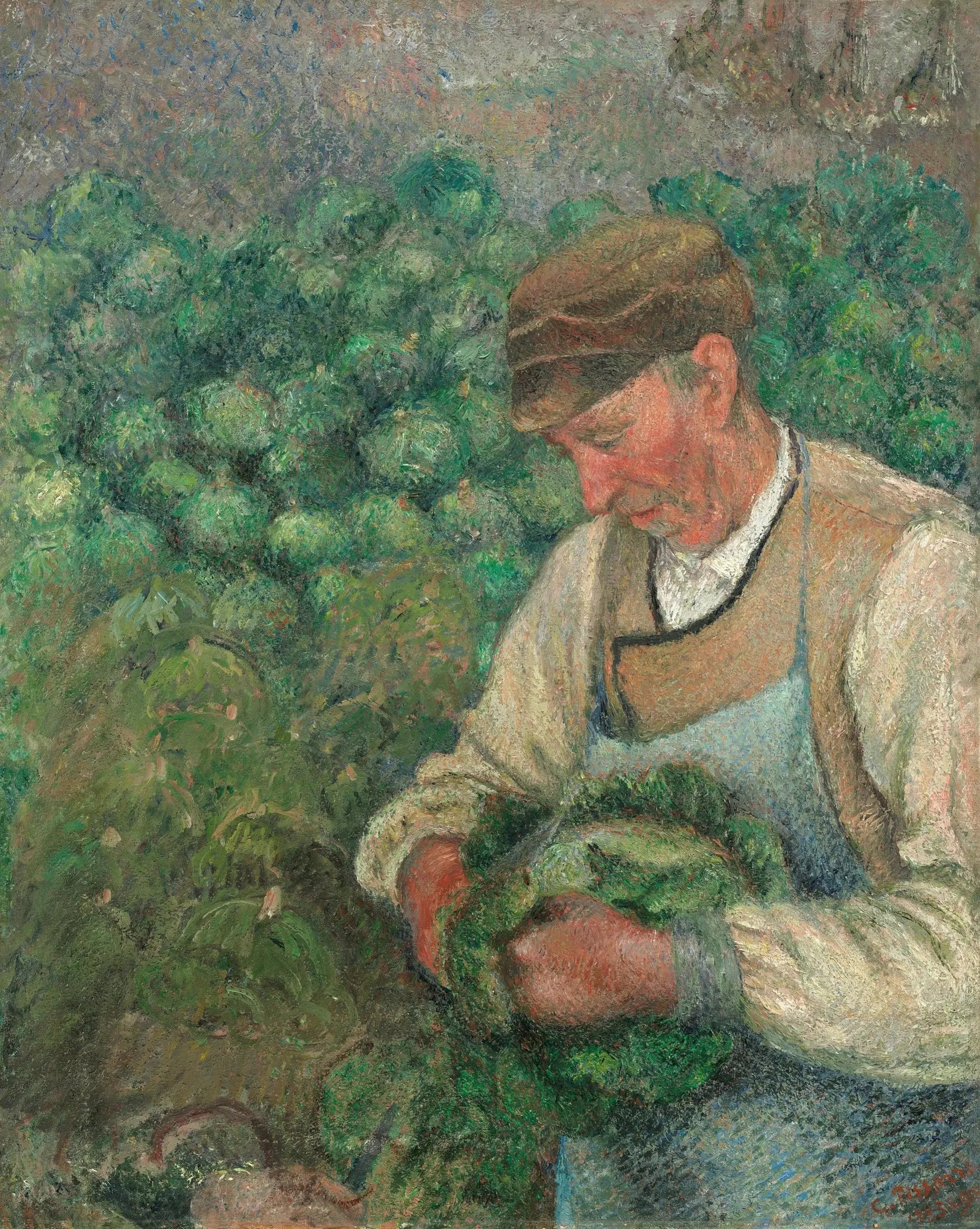 Le Jardinier - Vieux Paysan au Chou - Camille Pissarro image 1 reproduction de peinture à l’huile