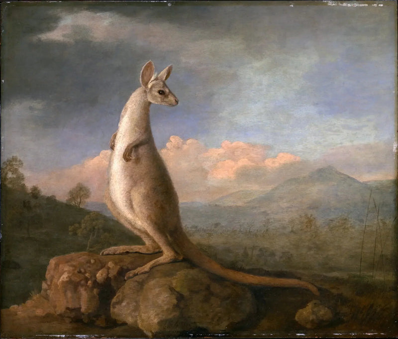 New Hollandin leijona - George Stubbs