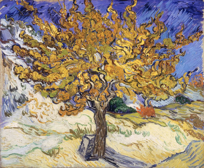 Morus - Vincent van Gogh