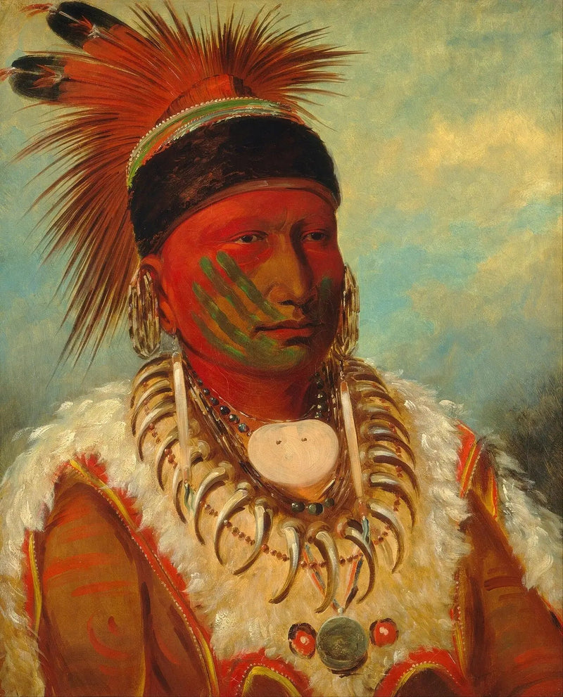 Valkoinen pilvi, Iowas-johtaja - George Catlin