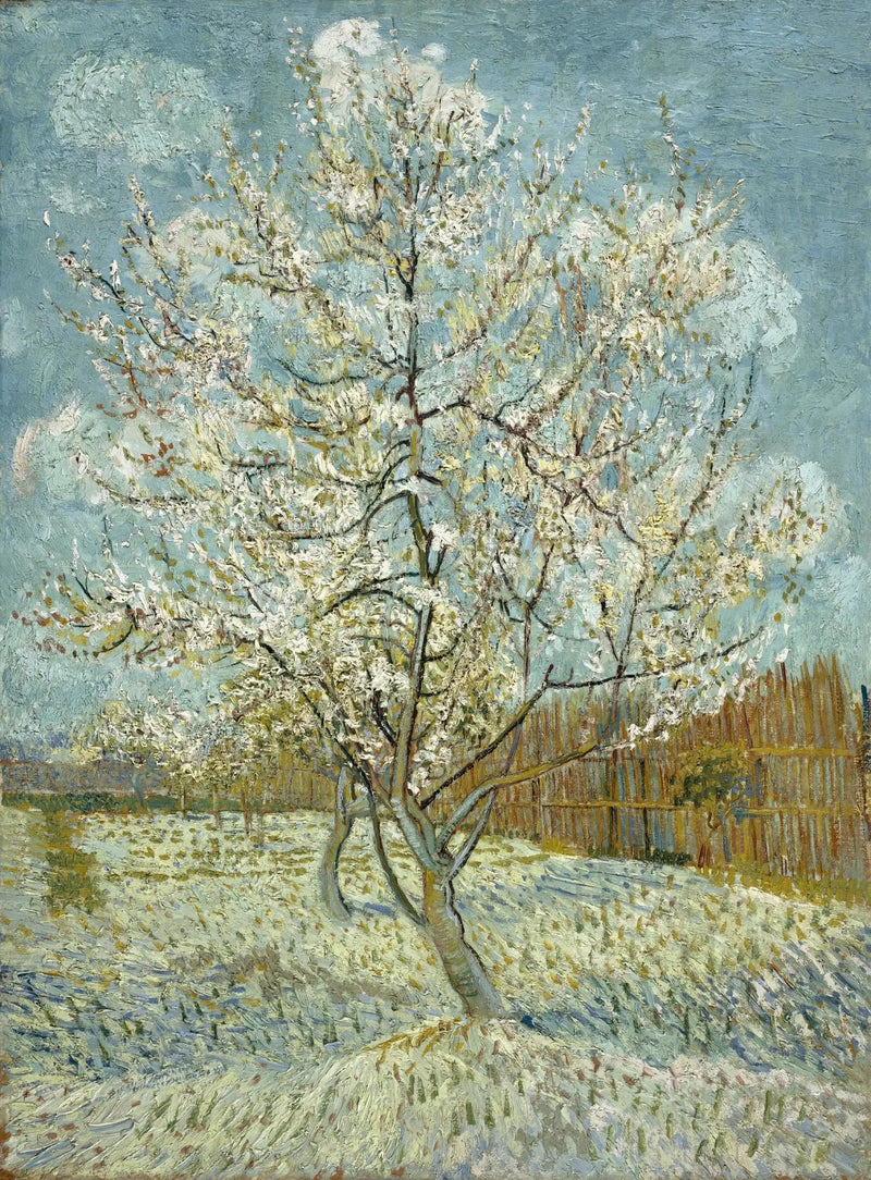 Vaaleanpunainen persikka - Vincent van Gogh