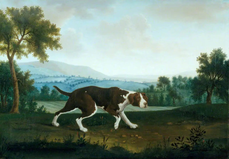 Espanjalainen osoitin - George Stubbs