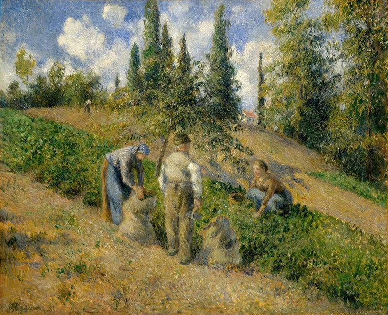 Sadonkorjuu, Pontoise - Camille Pissarro