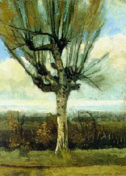 Paju - Vincent van Gogh