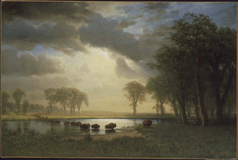 Bisonin polku - Albert Bierstadt
