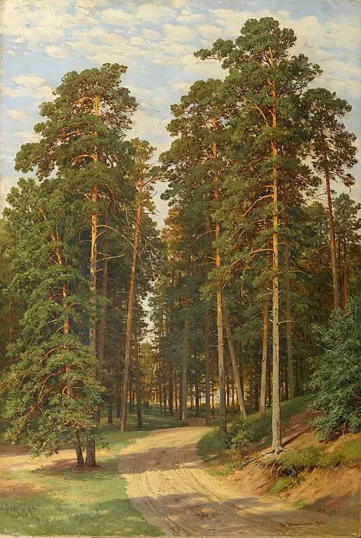 Auringonvalo metsässä - Ivan Chichkine