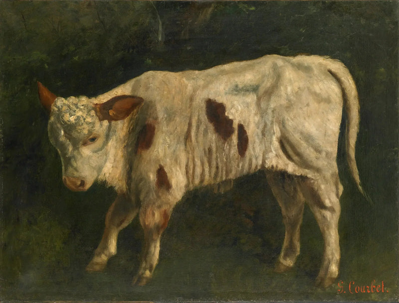 Valkoinen vasikka - Gustave Courbet