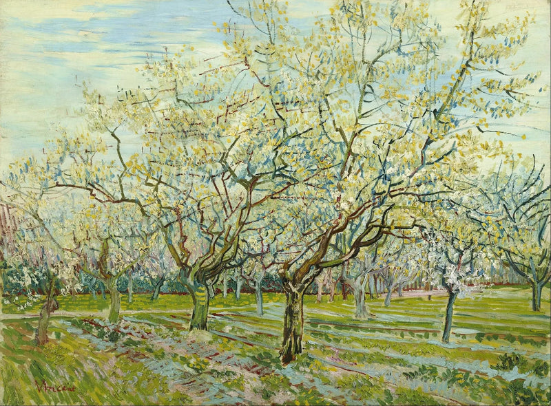 Valkoinen hedelmätarha - Vincent van Gogh