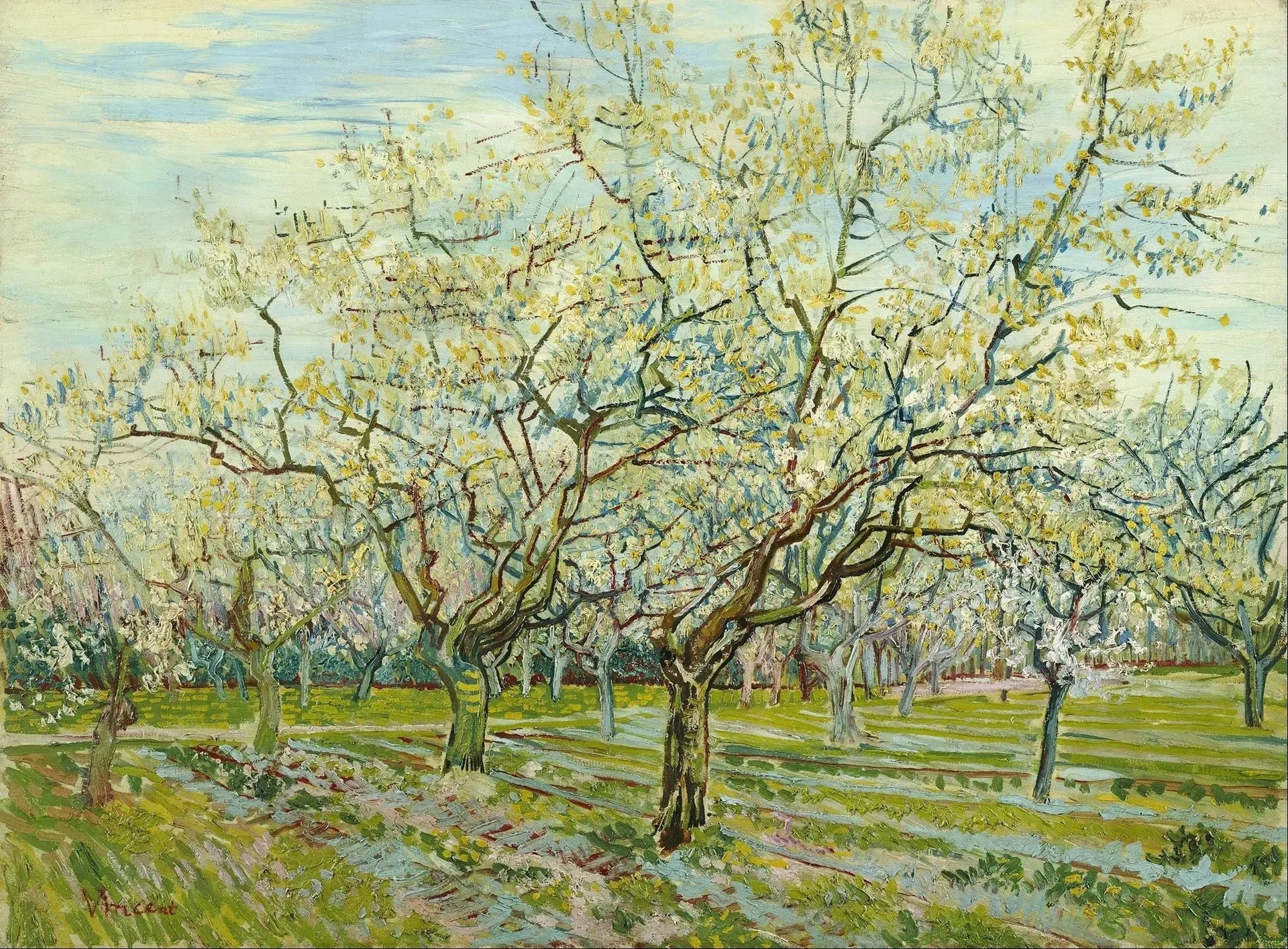 Le verger blanc - Vincent van Gogh image 1 reproduction de peinture à l’huile
