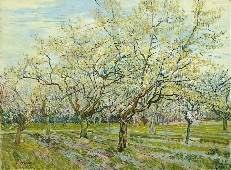 Valkoinen hedelmätarha - Vincent van Gogh