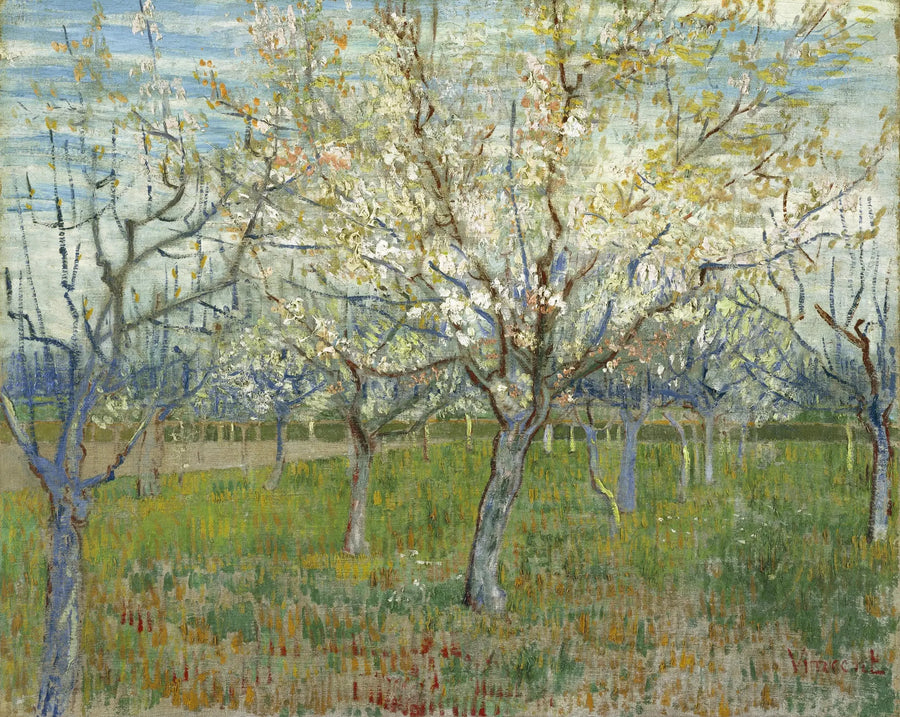 Vaaleanpunainen omenatar - Vincent van Gogh