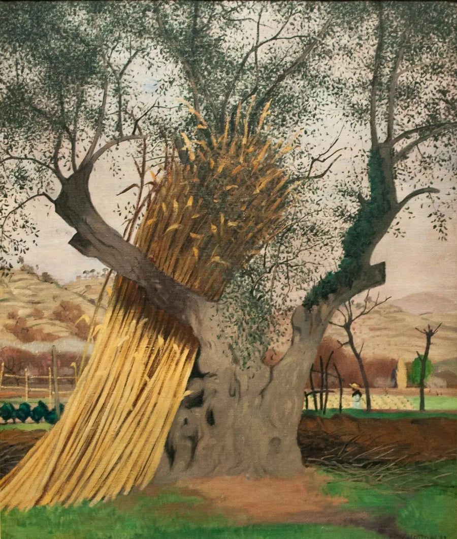 Vanha oliivi - Félix Vallotton