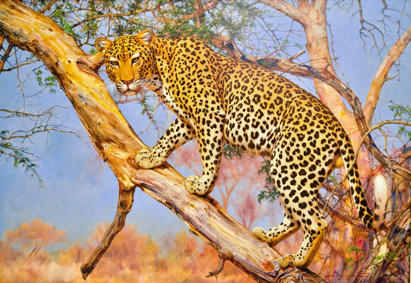 Leopardi puussa | 150 x 100 cm