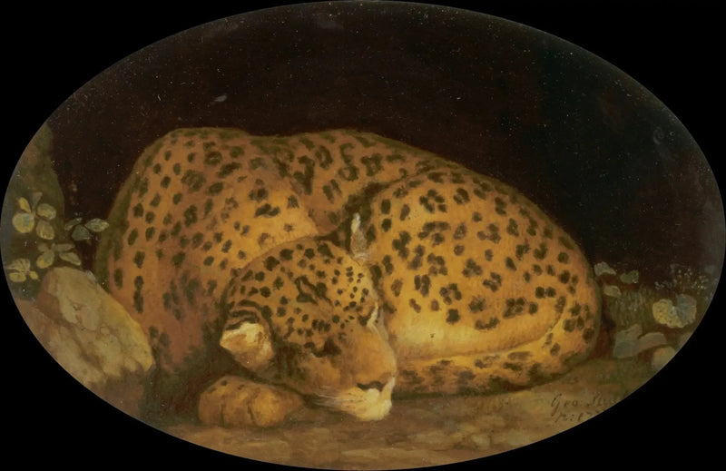 Nukkumassa oleva leopardi - George Stubbs