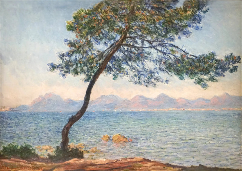 Antibakteeriset - Claude Monet