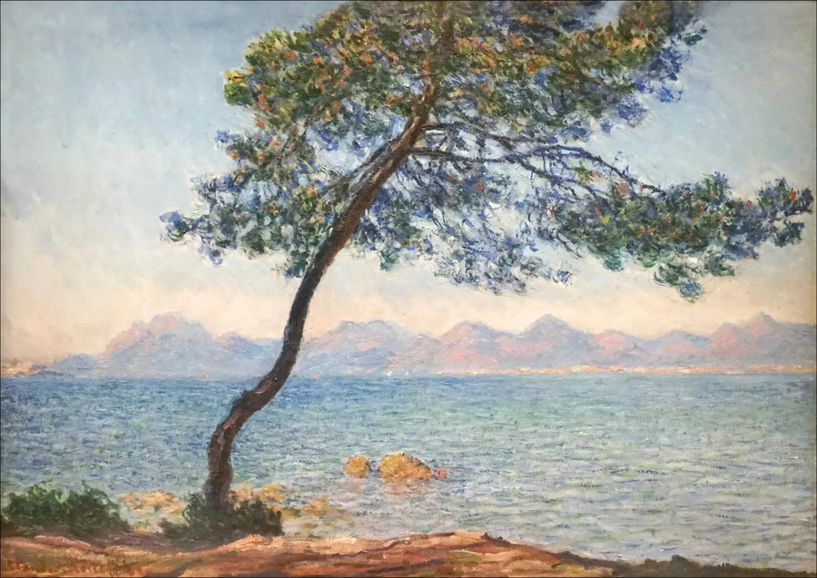 Antibakteeriset - Claude Monet