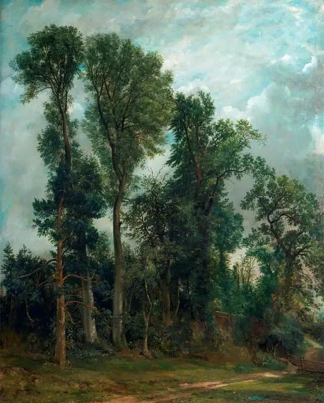 Hampsteadin puut: tie kirkkoon - John Constable