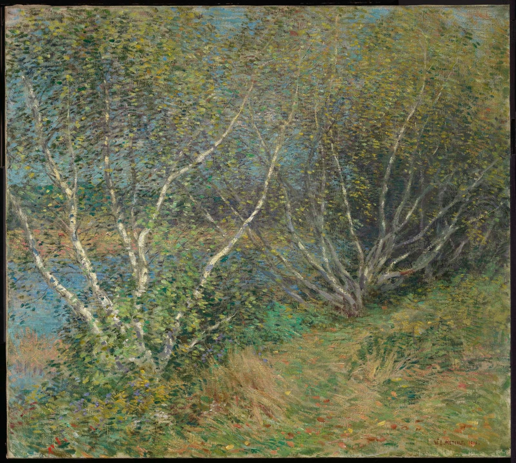 Les bouleaux - Willard Metcalf - Alpha Reproduction