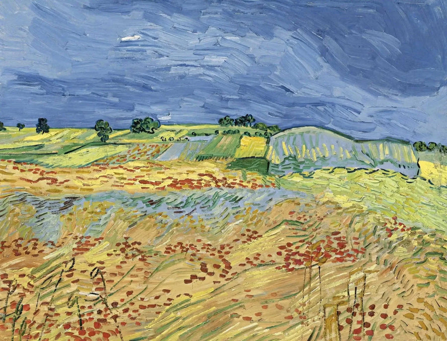 Pellot - Vincent van Gogh