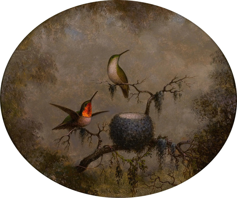 Hummingbirdit ja niiden pesä - Martin Johnson Heade