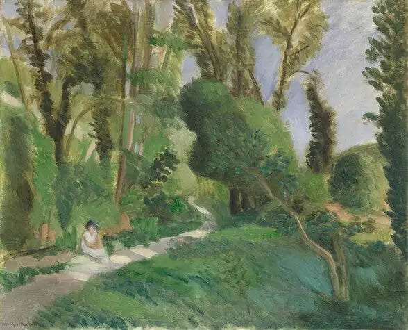 Loupin rotkot - Henri Matisse
