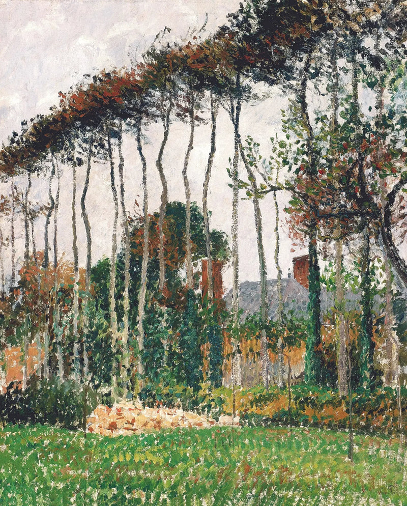 Suuret pyökki Varengevillessä - Camille Pissarro