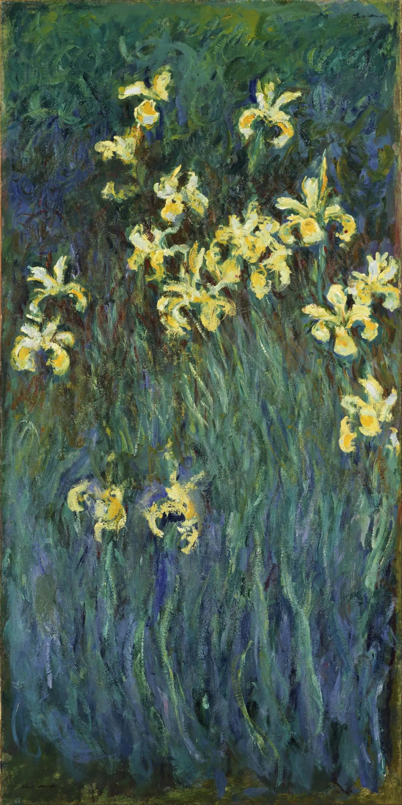 Keltaiset iirikset - Claude Monet