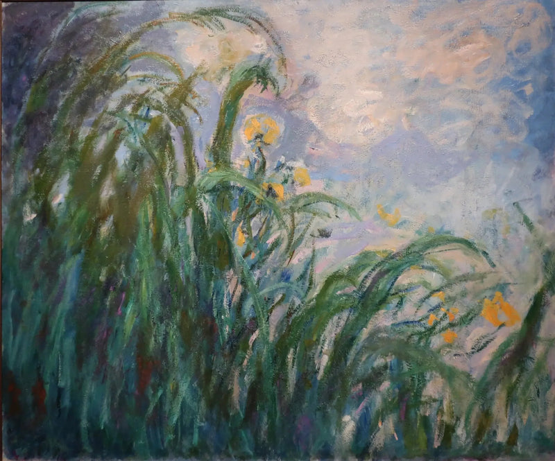 Keltaiset iirikset - Claude Monet