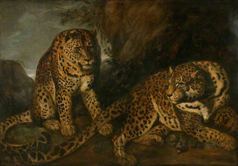 Les léopards - Frans Snyders